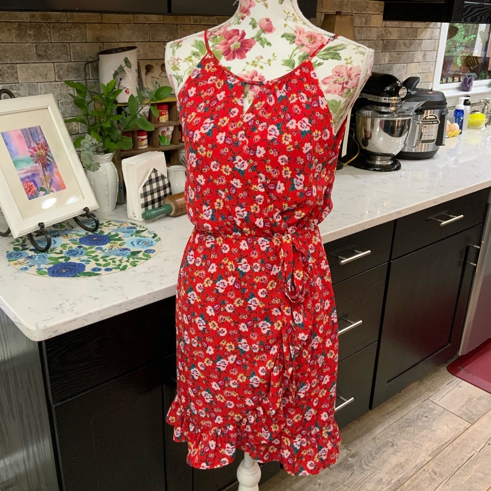 Francesca’s Harper Heritage Red Daria Floral Dress